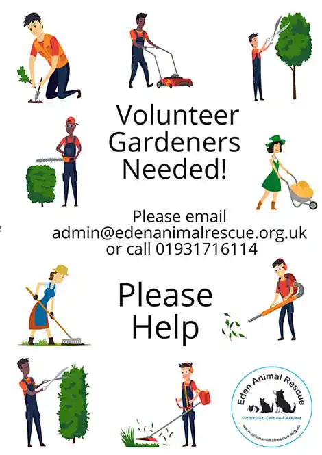 volunteer at eden animal rescue