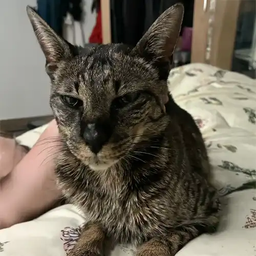luna